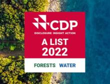 The Holzminden-based Group received the best possible score of A twice for its efforts to protect water and forests and A- in the area of climate protection