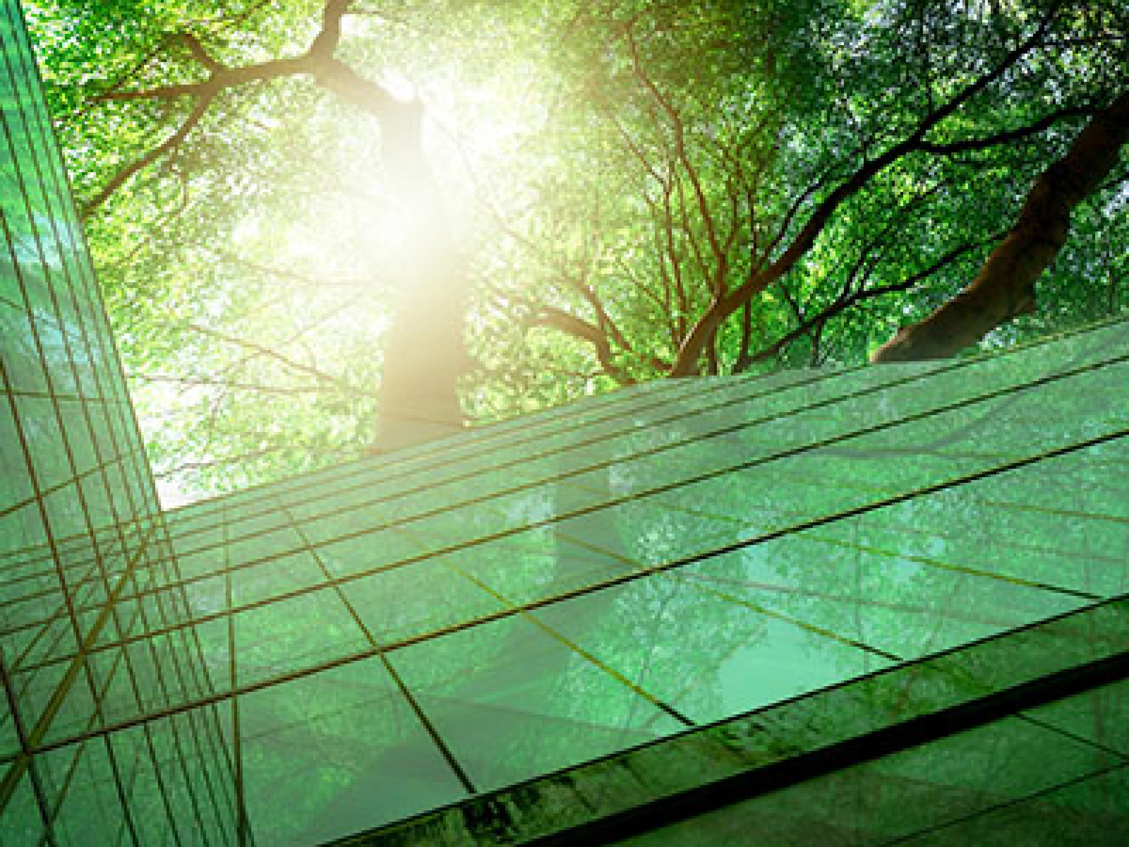 Net-zero emissions by 2040: Krones has defined more stringent sustainability targets