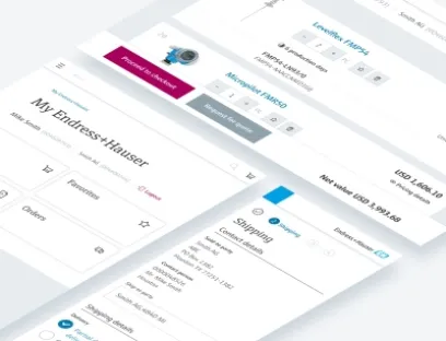 With the new flex product segmentation structure, selecting measurement instruments from the Endress+Hauser website will be even easier