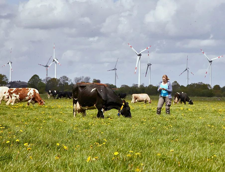 The Arla dairy cooperative will celebrate its 25th anniversary in 2025, Photo: Arla The Arla dairy cooperative will celebrate its 25th anniversary in 2025